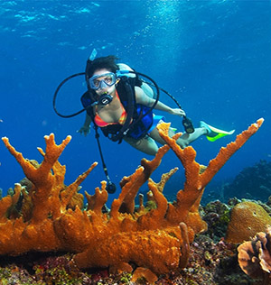 Buceo Isla de la Juventud, Cuba