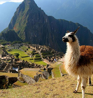 Machu Pichu, Perú