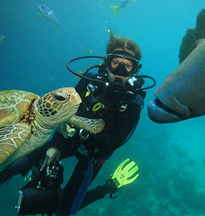 Buceo en Bocas del Toro, Panamá