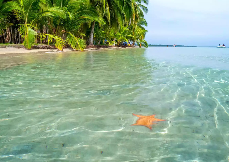 Bocas del Toro