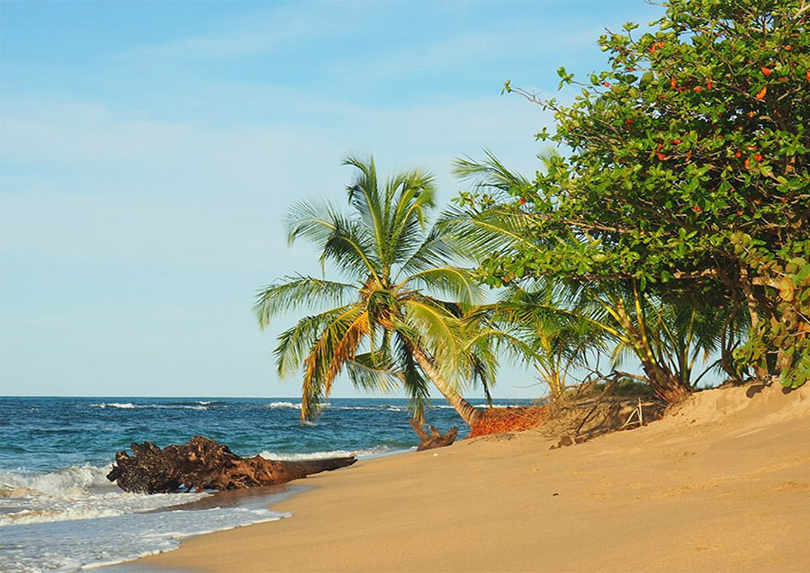 Caribe Sur, Costa Rica