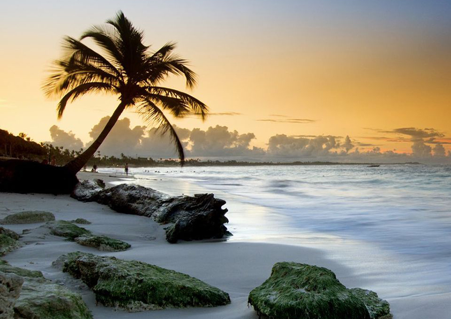 ¿Cansado del frío y este invierno eterno?