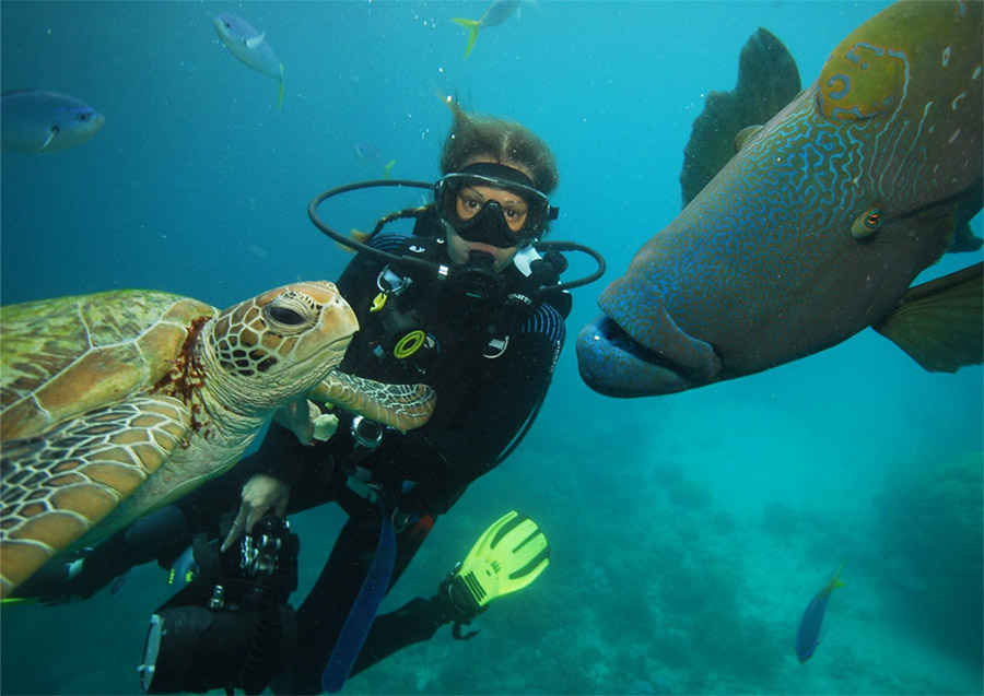 Buceo en Bocas del Toro, Panamá